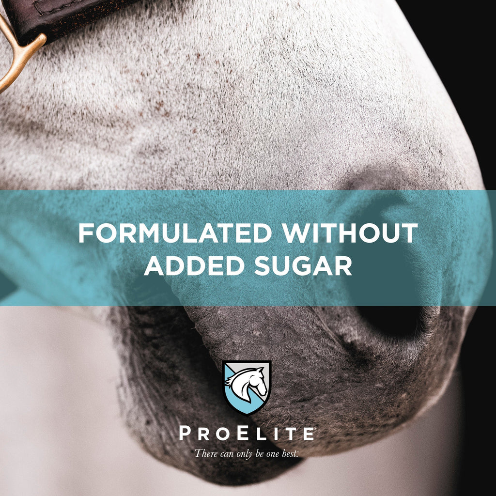 ProElite® Sweat