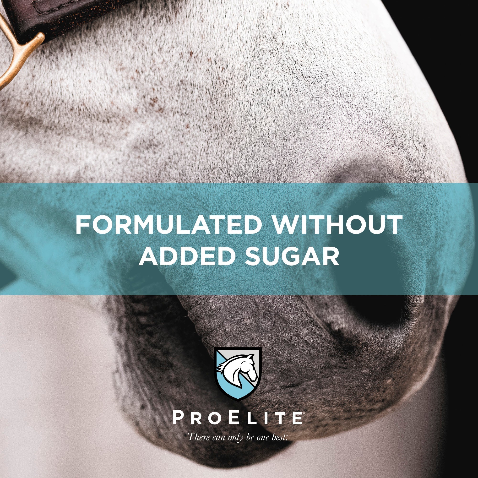 ProElite® Sweat