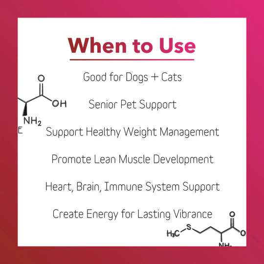 InClover Heart+ Supplement for Dogs + Cats (BioVibrant)