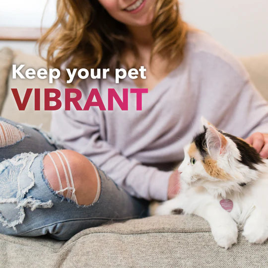 InClover Heart+ Supplement for Dogs + Cats (BioVibrant)