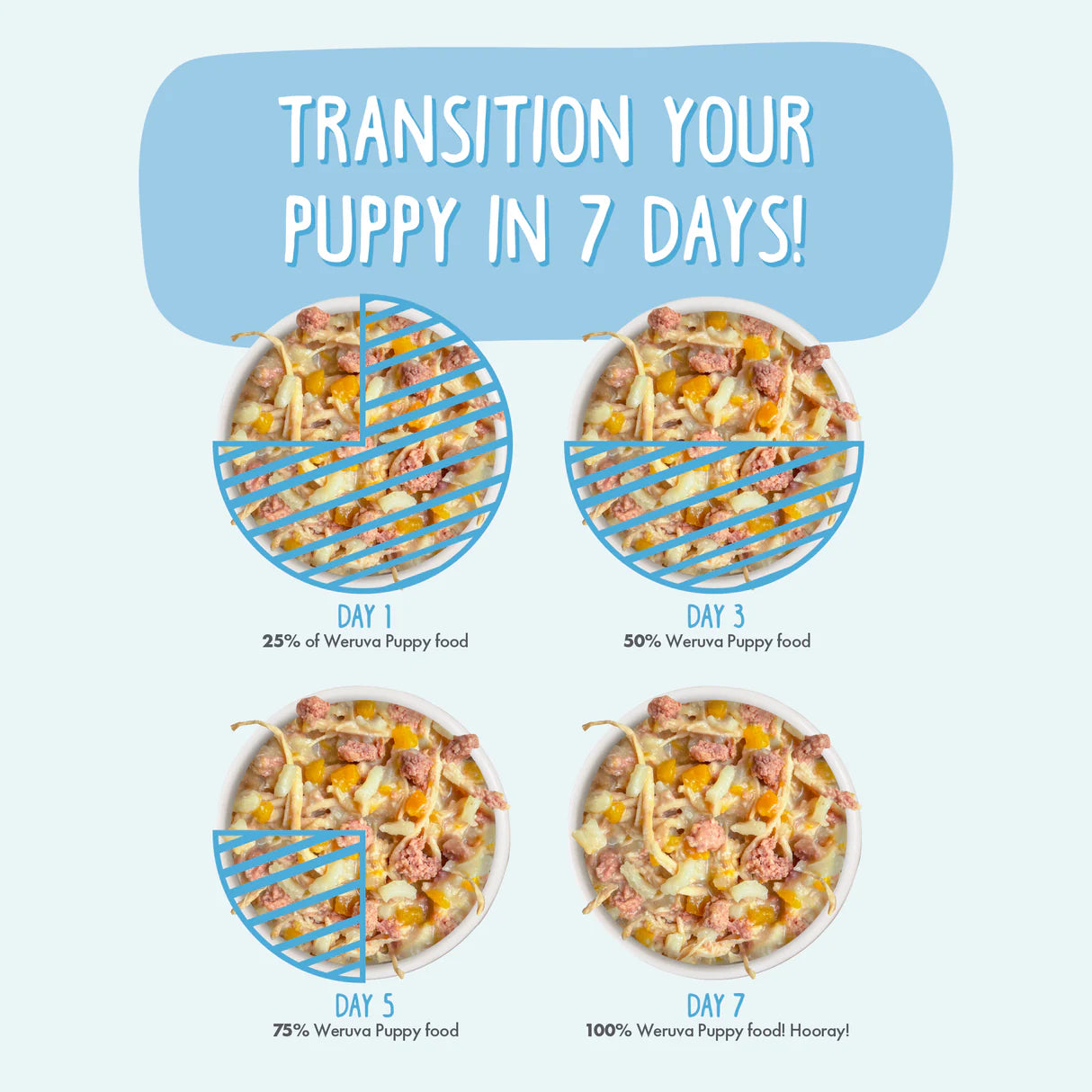 Weruva Chicken Formula in Gravy Wet Dog Food