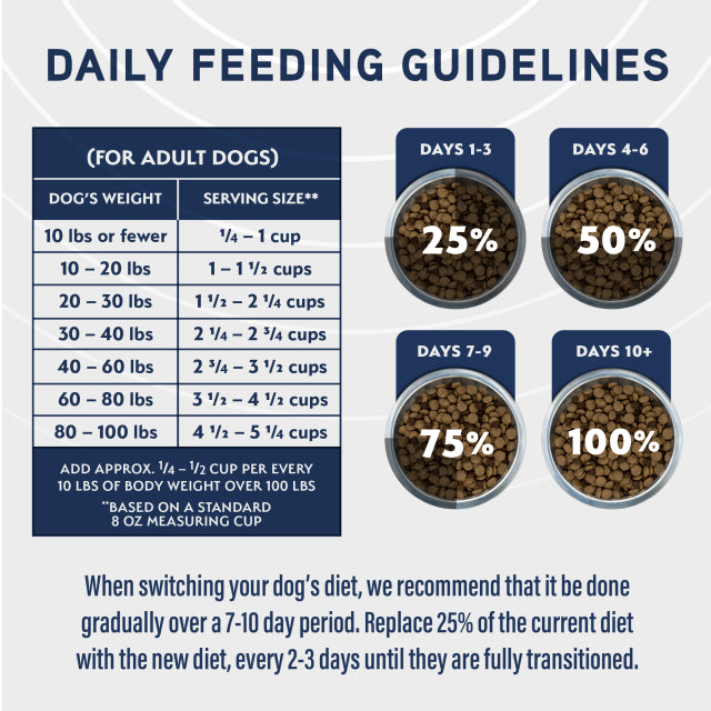 Natural Balance Sensitive Skin & Stomach Salmon & Oatmeal Formula Dry Dog Food