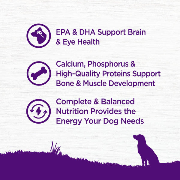 Wellness Complete Health Natural Puppy Chicken, Oatmeal and Salmon Dry Dog Food