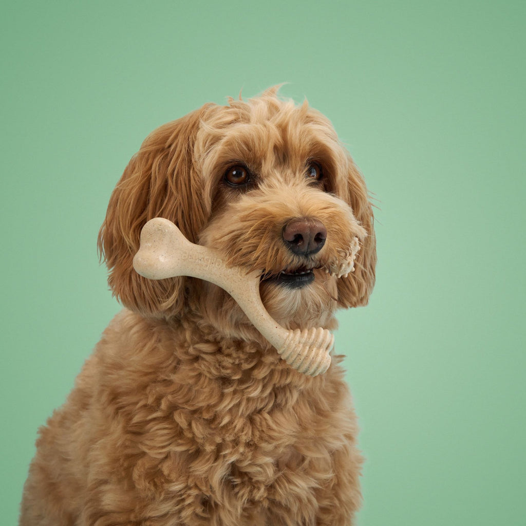 BetterBone Medium Classic - Natural Hypoallergenic