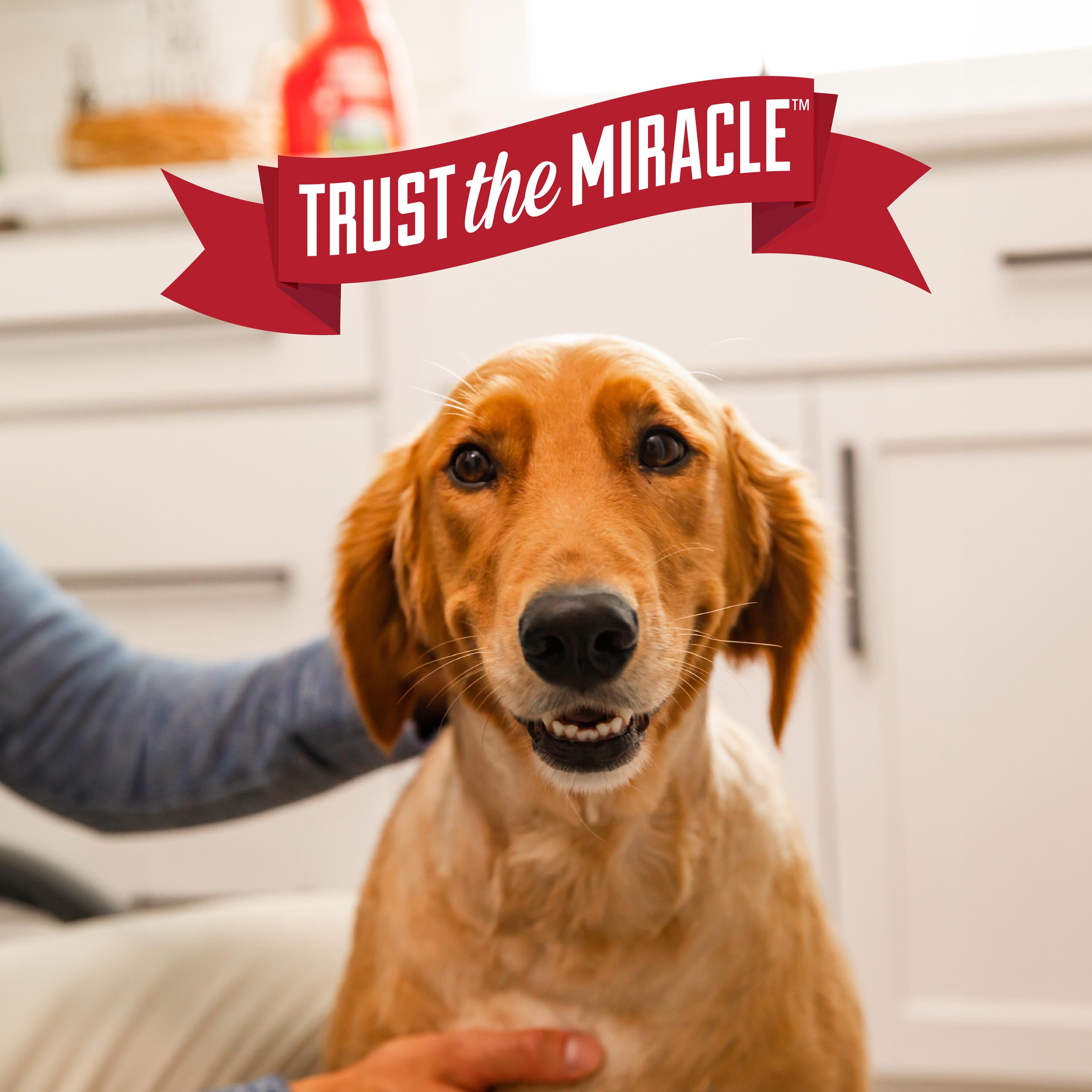 Nature's Miracle Urine Destroyer Plus Foaming Aerosol Spray For Dogs