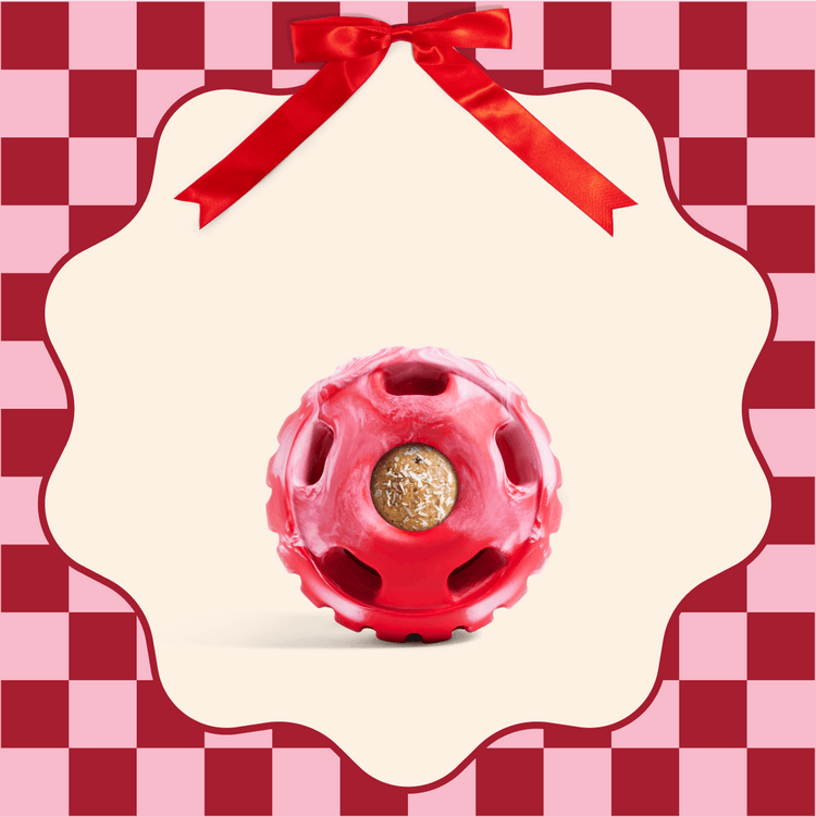 Woof The Pupsicle Dog Toy
