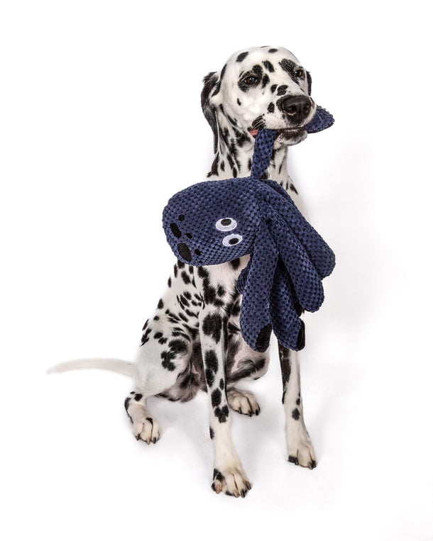 fabdog Floppy Octopus Dog Toy