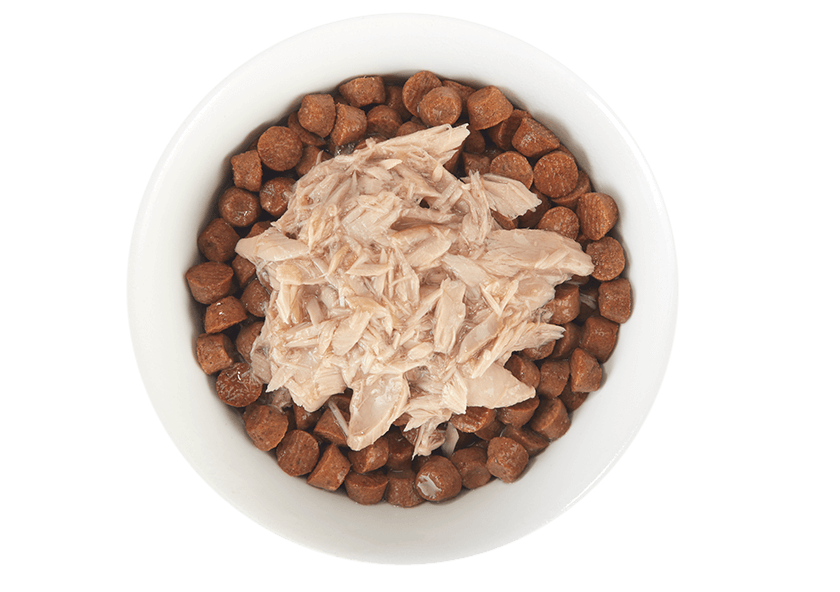 Tiki Cat® Born Carnivore® Tuna in Broth