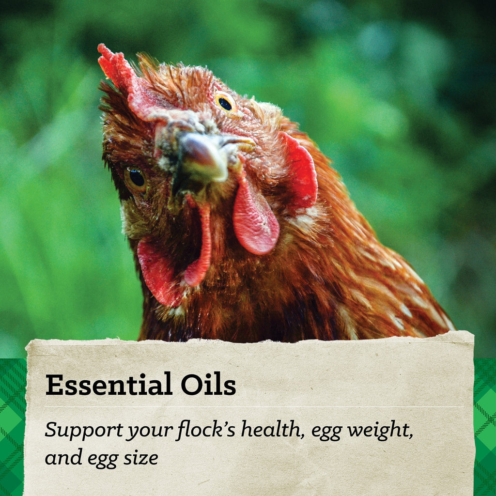 NatureWise® Harvest Blend 18% Textured Layer Feed