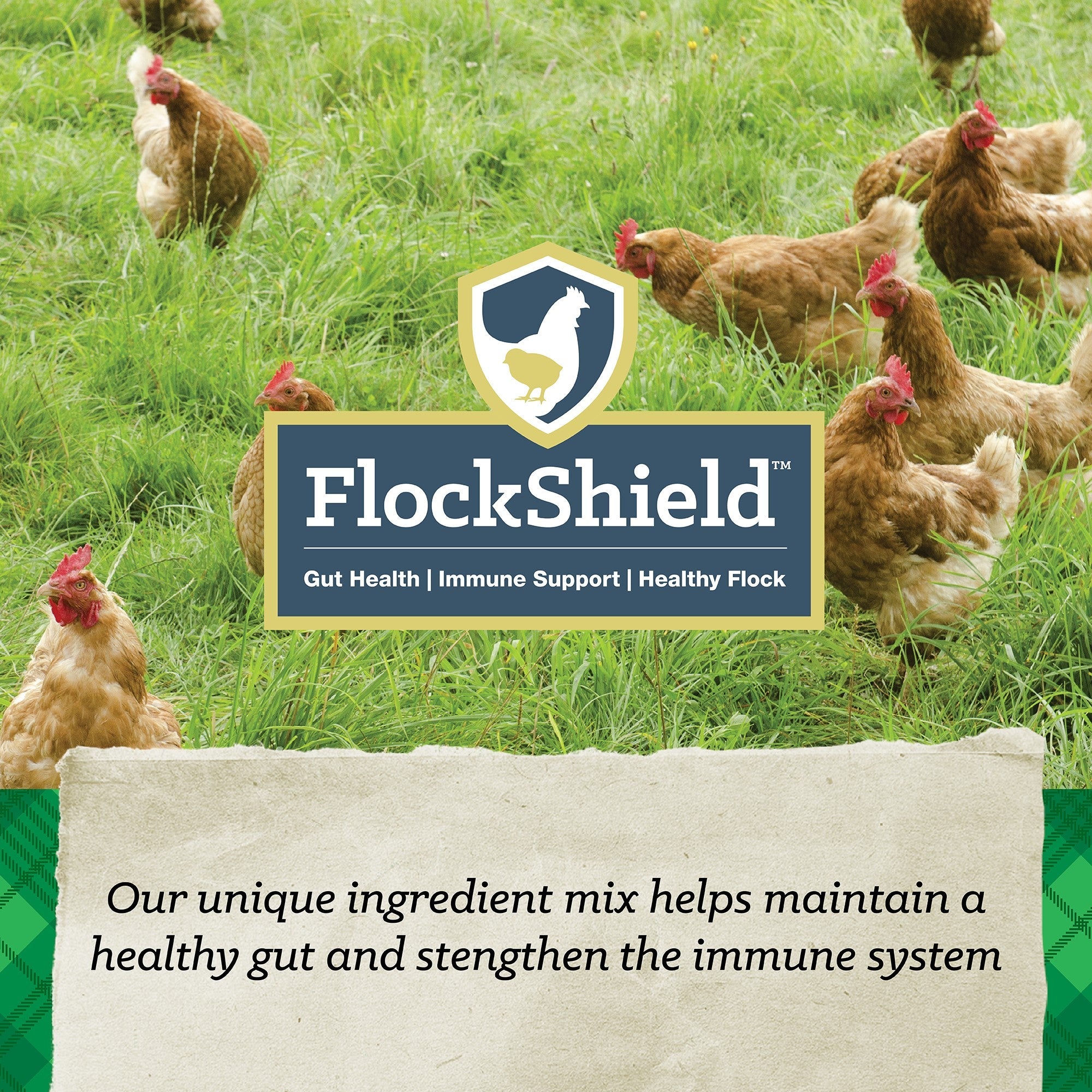NatureWise® Harvest Blend 18% Textured Layer Feed