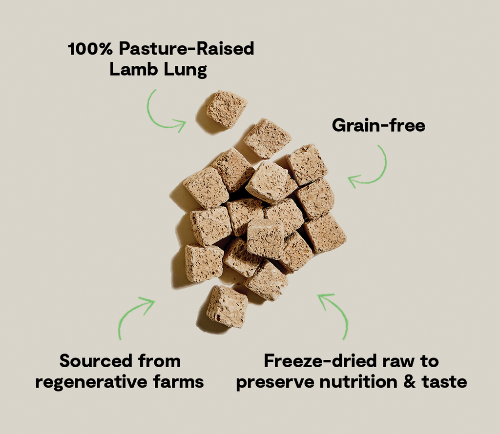 Open Farm Freeze Dried Raw Regeneratively Sourced Lamb Lung Treat for Dogs