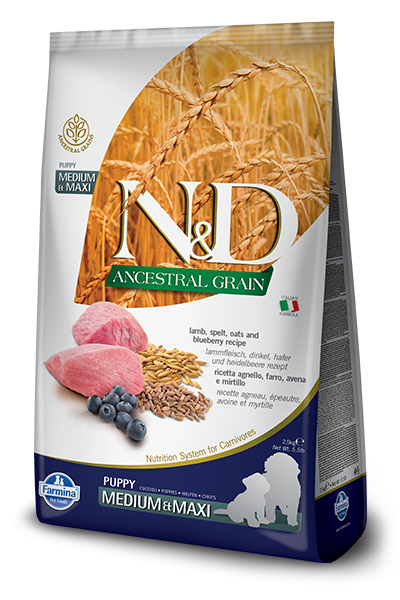 Farmina N&D Ancestral Grain Canine Lamb & Blueberry Puppy Medium & Maxi Food