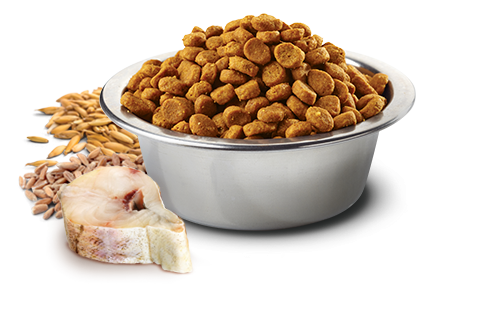 Farmina N&D Ocean Cod, Spelt, Oats & Orange Adult Medium & Maxi Dry Dog Food