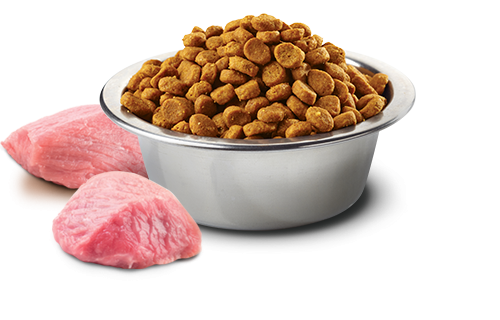Farmina N&D Prime Formula Lamb & Blueberry Adult Cat Food