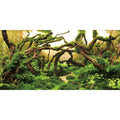 Riverbed Views 36x18 Aquarium Background