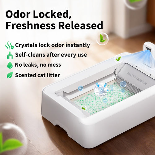 Crystal Litter Set (Fresh Green) - 4 Pack