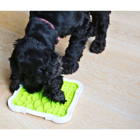 Lick n Snack Licking Plate