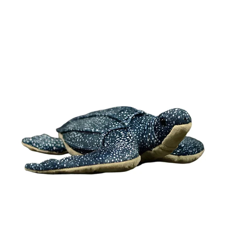 Tortoise Turtle Plush Toy