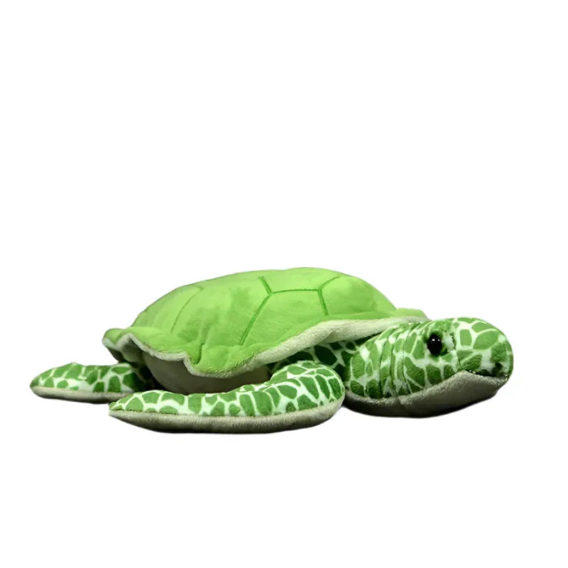 Tortoise Turtle Plush Toy