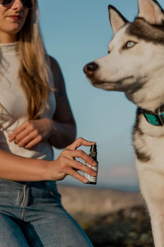 Buzz Off All Natural Repellent for Fleas, Ticks & Mosquitos.