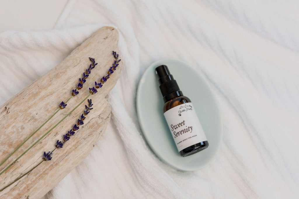 Sweet Serenity Calming Spray for dogs