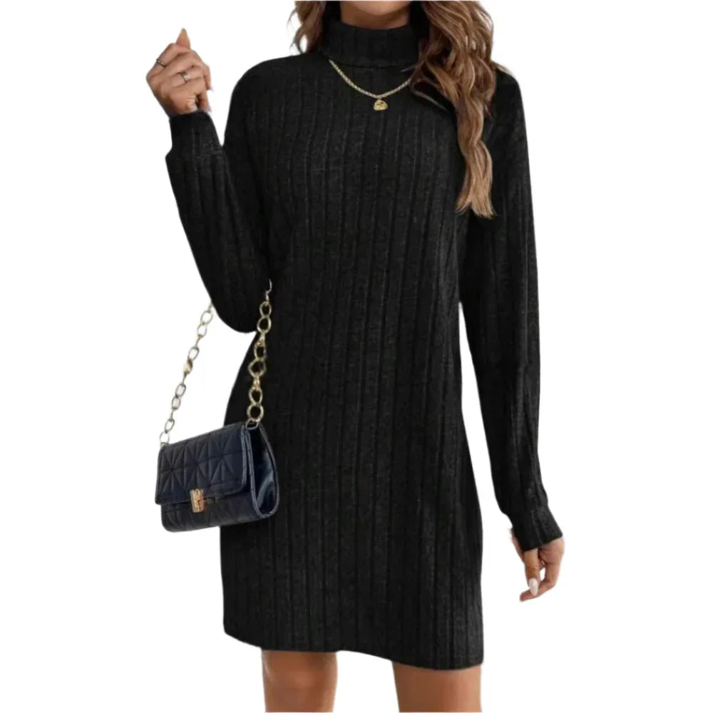 Women's Loose Fit Polyester Turtleneck Collar Dress